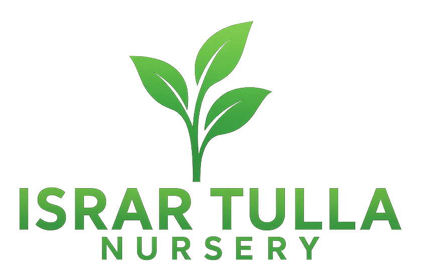 Israr Tulla Nursery